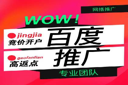 深度解析：百度推广代理的运营策略与效果
